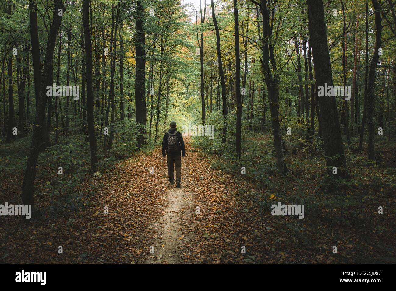 Ein Mann, der einen Weg durch einen dunklen Wald geht Stockfoto