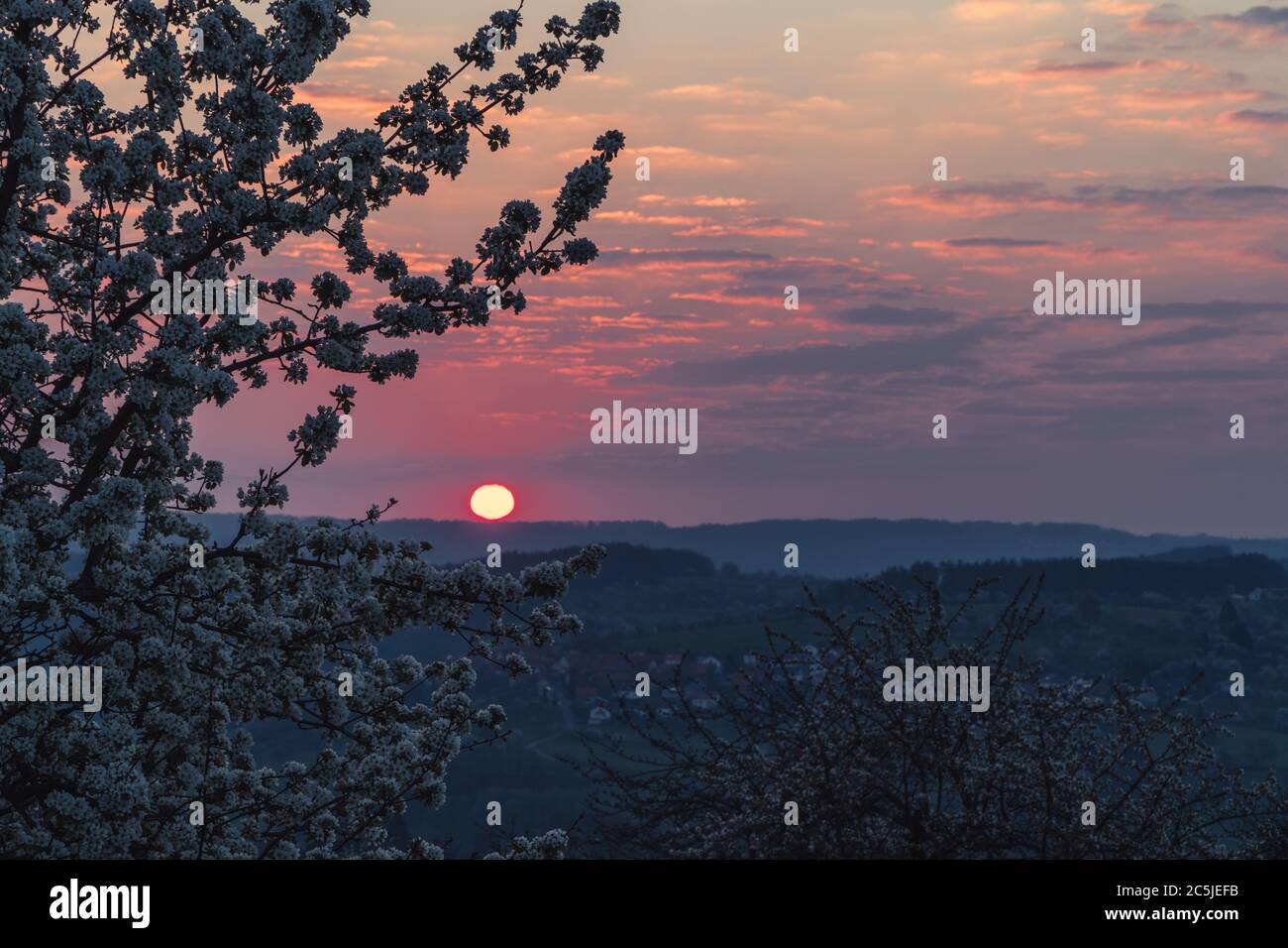 Ein schöner Sonnenaufgang mit einigen Wolken. Eingerahmt von sanften Hügeln und einigen Kirschbäumen. Stockfoto