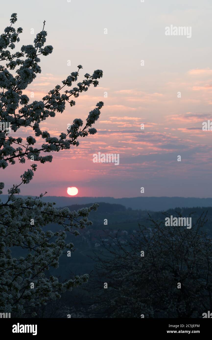 Ein schöner Sonnenaufgang mit einigen Wolken. Eingerahmt von sanften Hügeln und einigen Kirschbäumen. Stockfoto