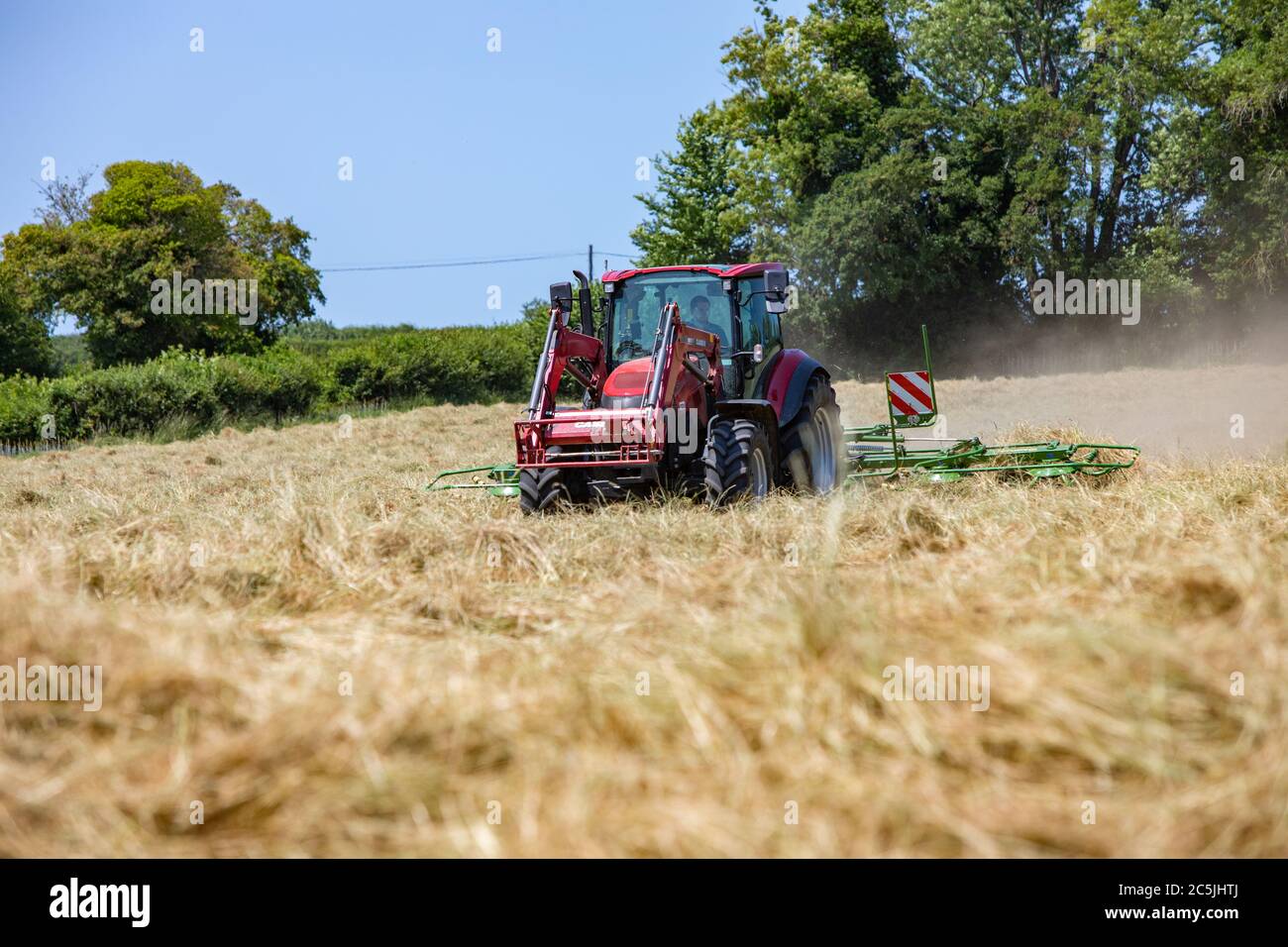 Hay Harvest Juni 2020 UK roten Traktor, Drehen Heu in Vorbereitung, um es zu ballen, blauer Himmel schönen sonnigen Tag. Machen Heu, während die Sonne scheint. Hampshire UK Stockfoto