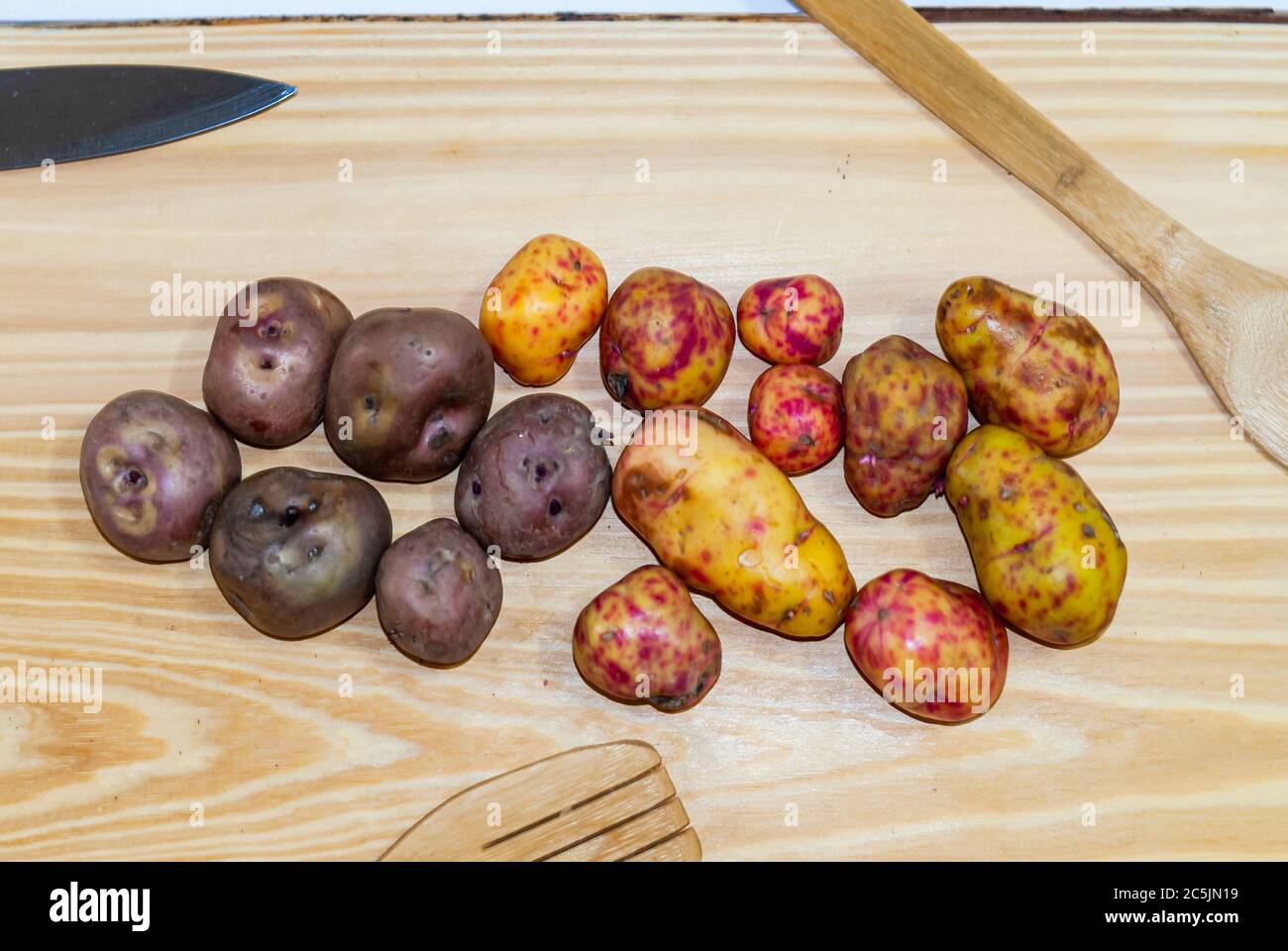 Regionale Kartoffeln aus den Anden auf einem Markt in Peru, Bolivien, Argentinien, Südamerika auf einem Holztisch. Selektiver Fokus Stockfoto