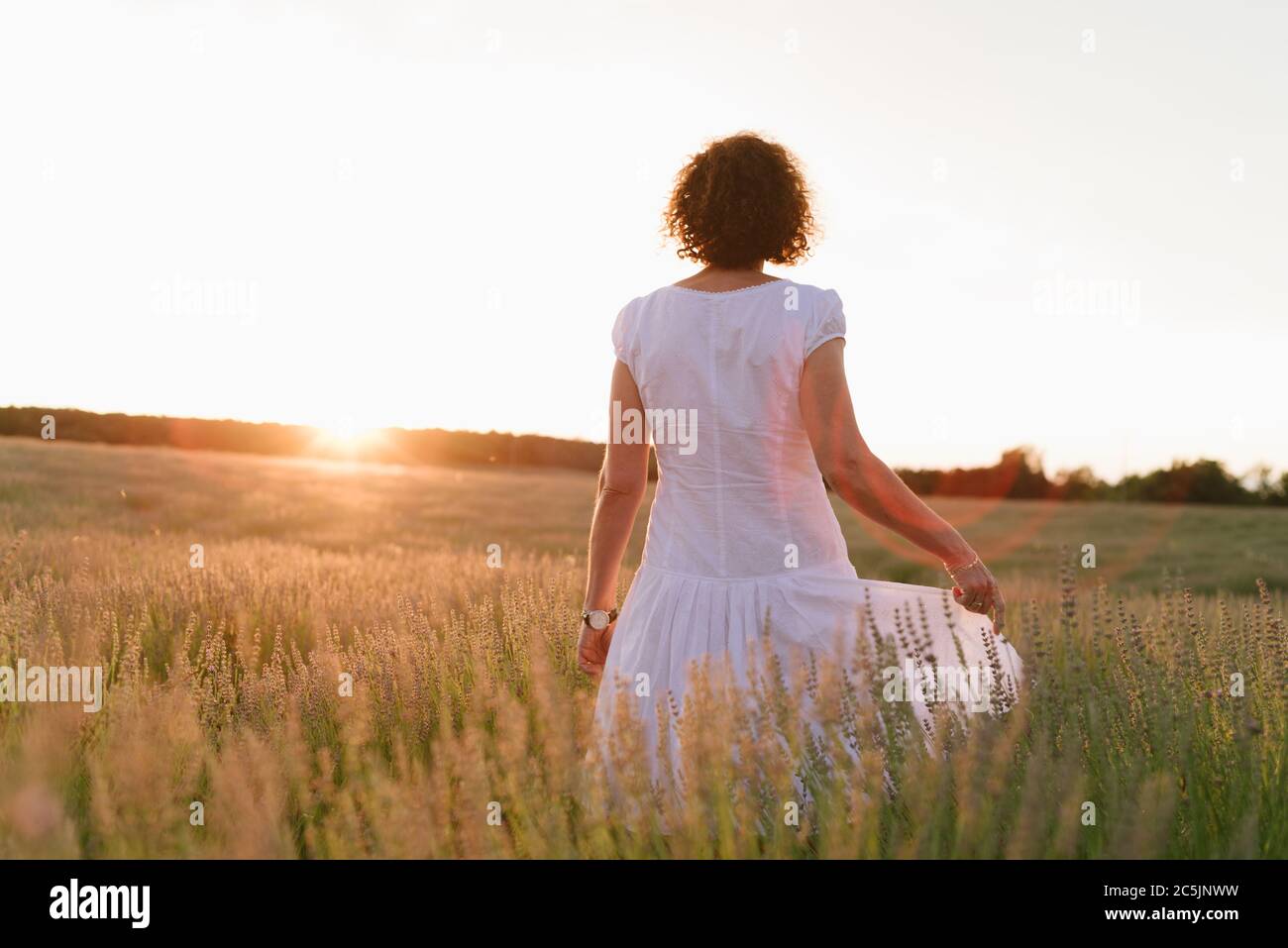 Schöne Frau in einem weißen Kleid geht im Lavendelfeld gegen Sonneneinstrahlung bei Sonnenuntergang Stockfoto