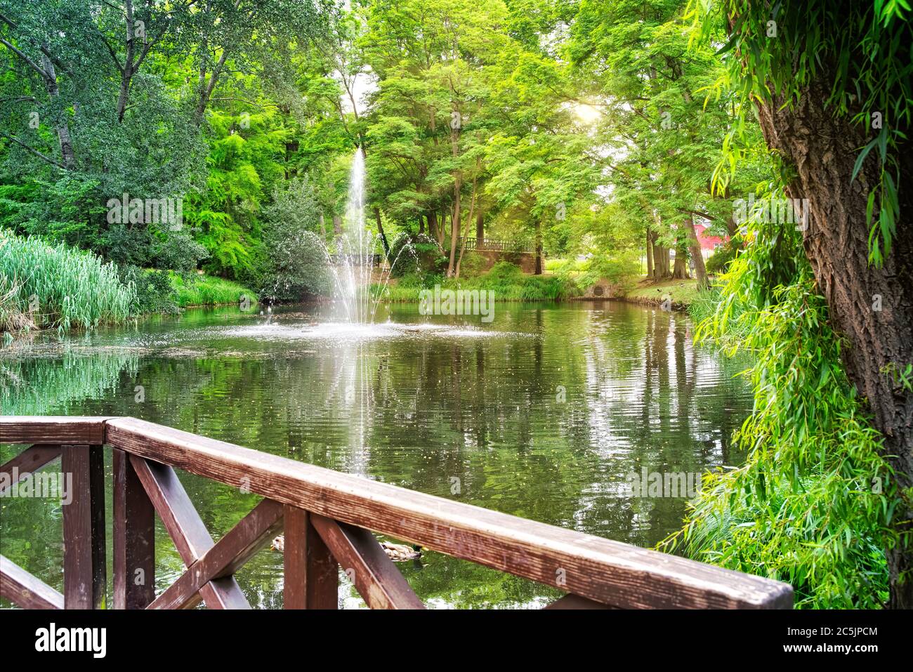 Stadtpark in Bernau bei Berlin. Das Parkgelände mit vielen alten Bäumen umfasst mehrere Teiche und die Wälle entlang der ehemaligen Stadtbefestigung. Stockfoto