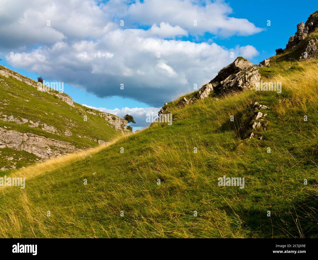 Cressbrook Dale oder Ravensdale eine trockene Karbonenschlucht in der Nähe von Bakewell im Peak District National Park Derbyshire England Stockfoto