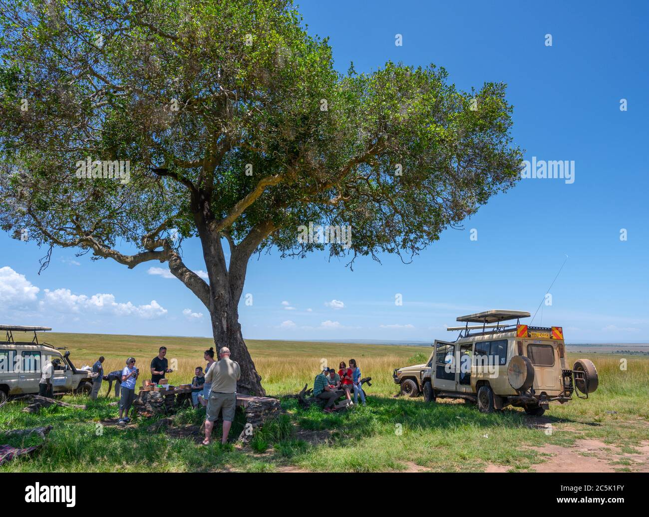 Safarikfahrzeuge unter einem Baum mit Leuten, die ein Picknick essen, Mara Triangle, Masai Mara National Reserve, Kenia, Afrika Stockfoto