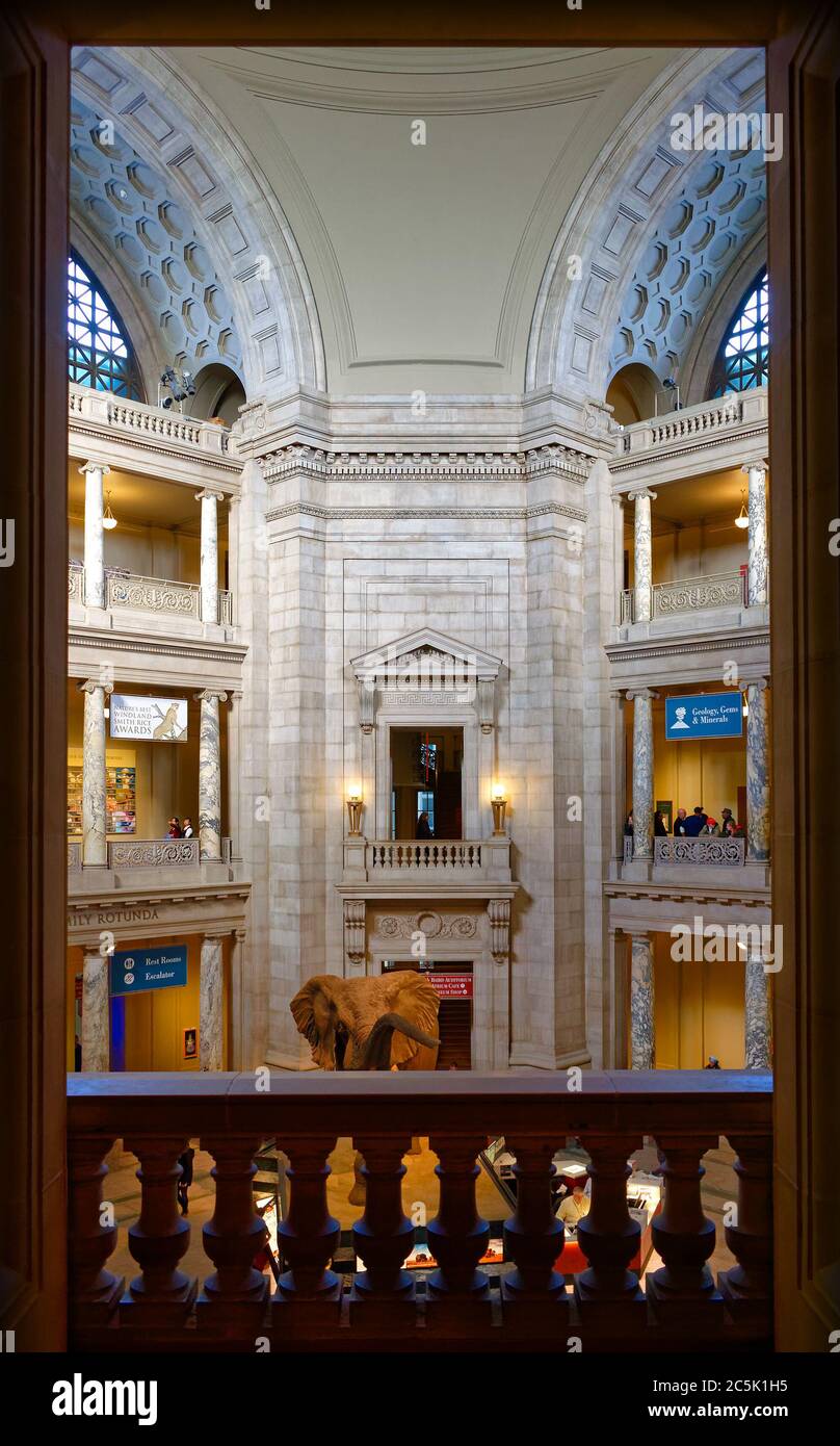 Der Blick von einer Galerie auf die Haupthalle des Smithsonian National Museum of Natural History, Washington, DC, USA Stockfoto