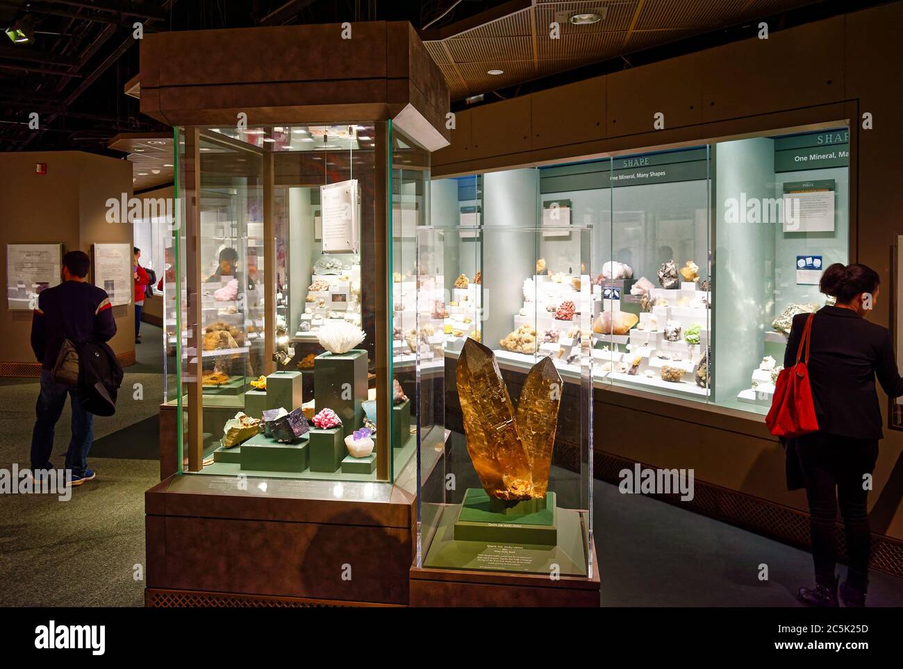 Museumsbesucher, die verschiedene Mineralien, Kristalle und Edelsteine im Smithsonian National Museum of Natural History, Washington, DC, USA, betrachten Stockfoto