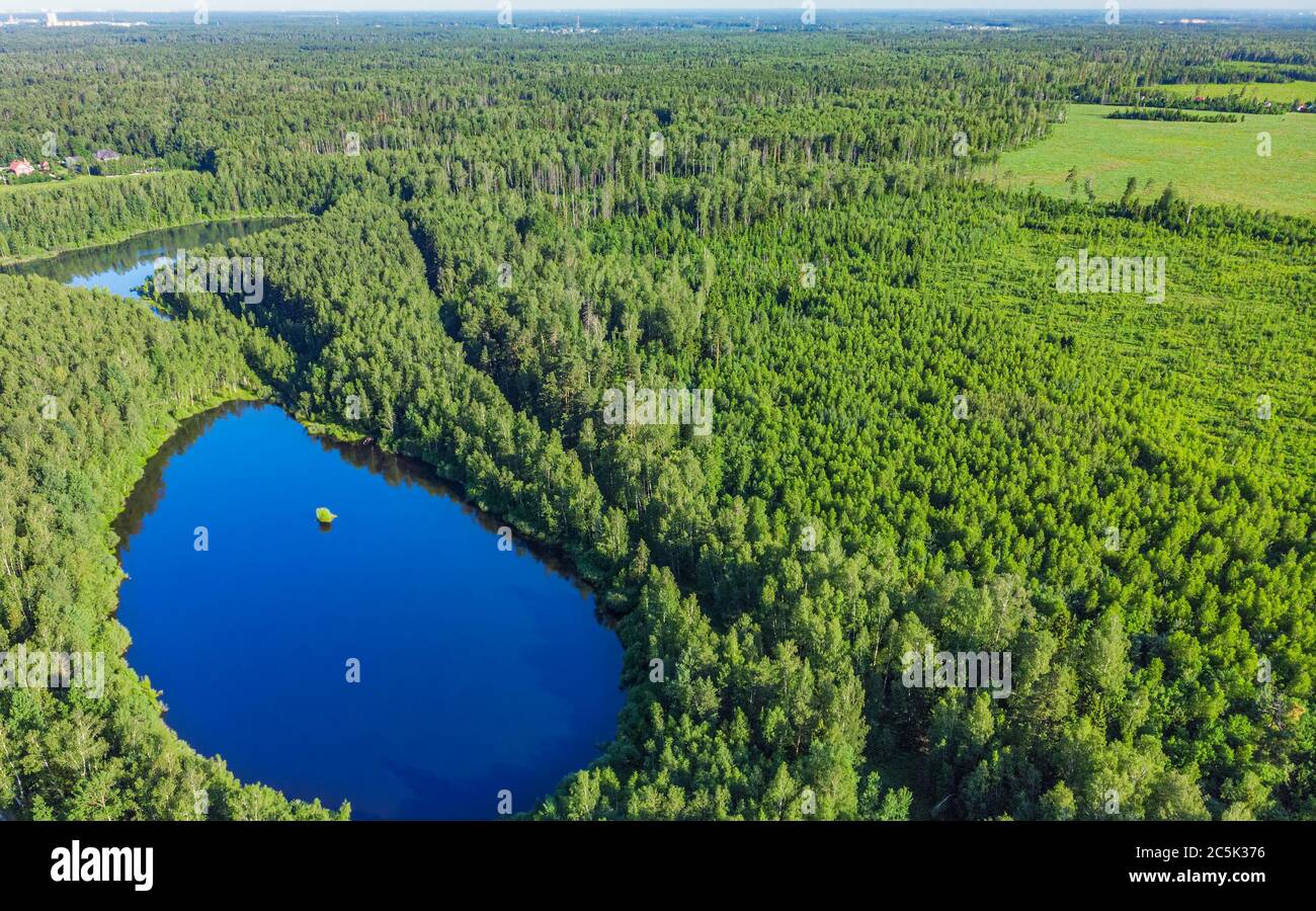 Luftaufnahme von einer Drohne eines Sees in einem Wald Stockfoto