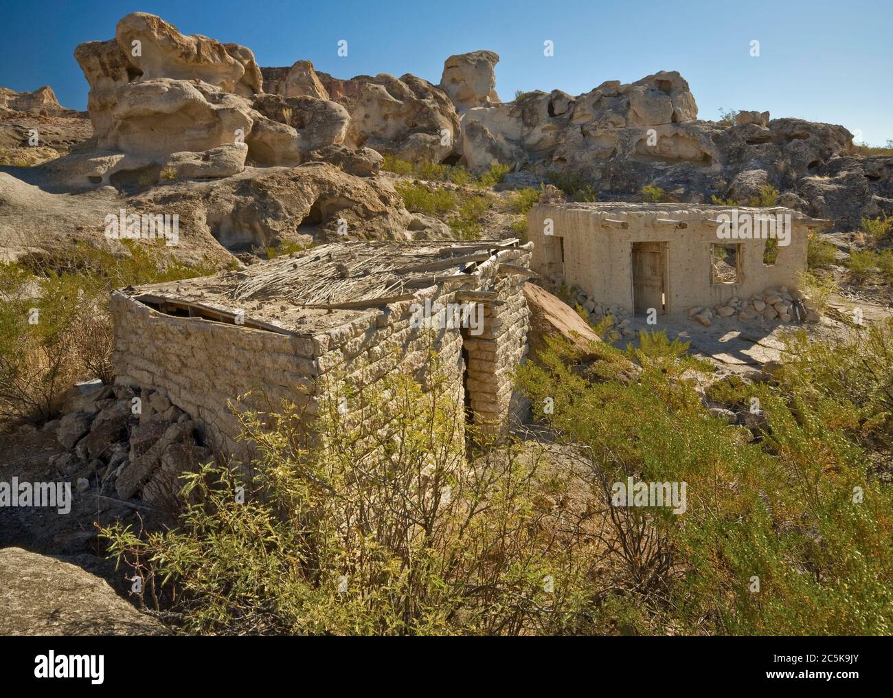 Kreosoten-Sträucher an Ruinen von lehmhäusern in der Nähe verlassene Minen in der Gegend von Three Dike Hill in den Bofecillos Mountains im Big Bend Ranch State Park, Texas, USA Stockfoto