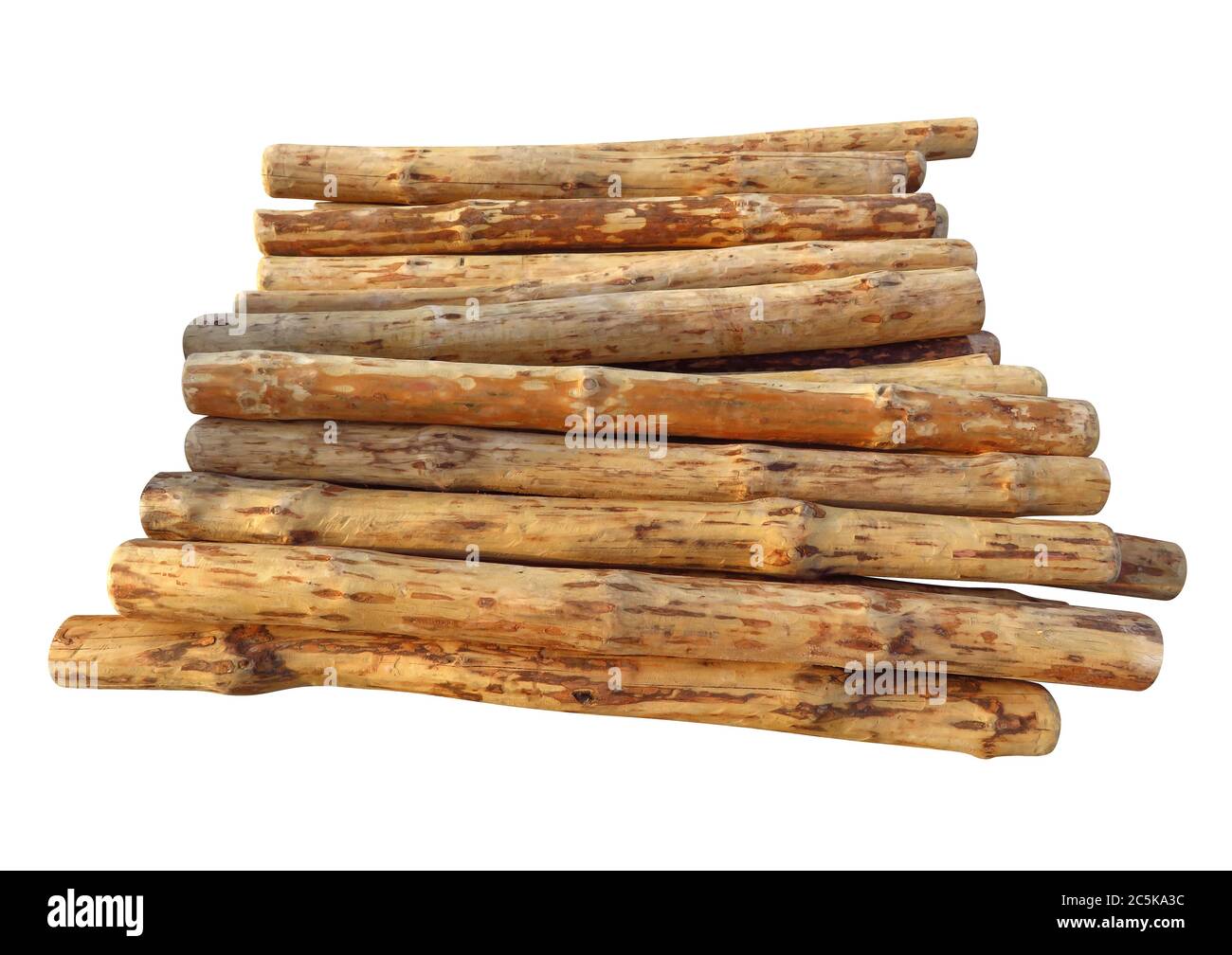 Holzstämme isoliert auf weißem Hintergrund. Beschneidungspfad enthalten. Stockfoto