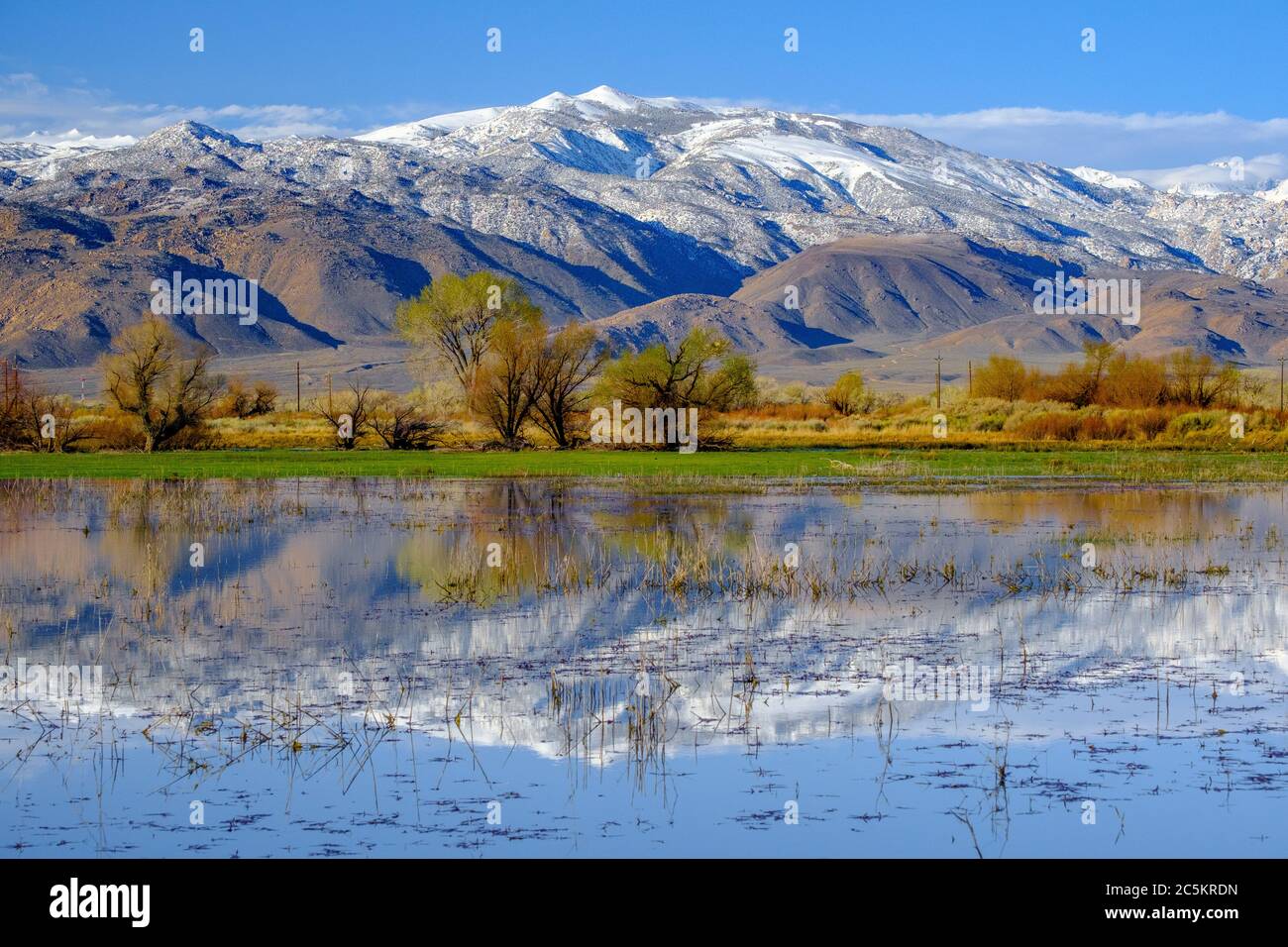 Die östlichen Sierra Berge spiegeln sich in einem lokalen Teich. Stockfoto