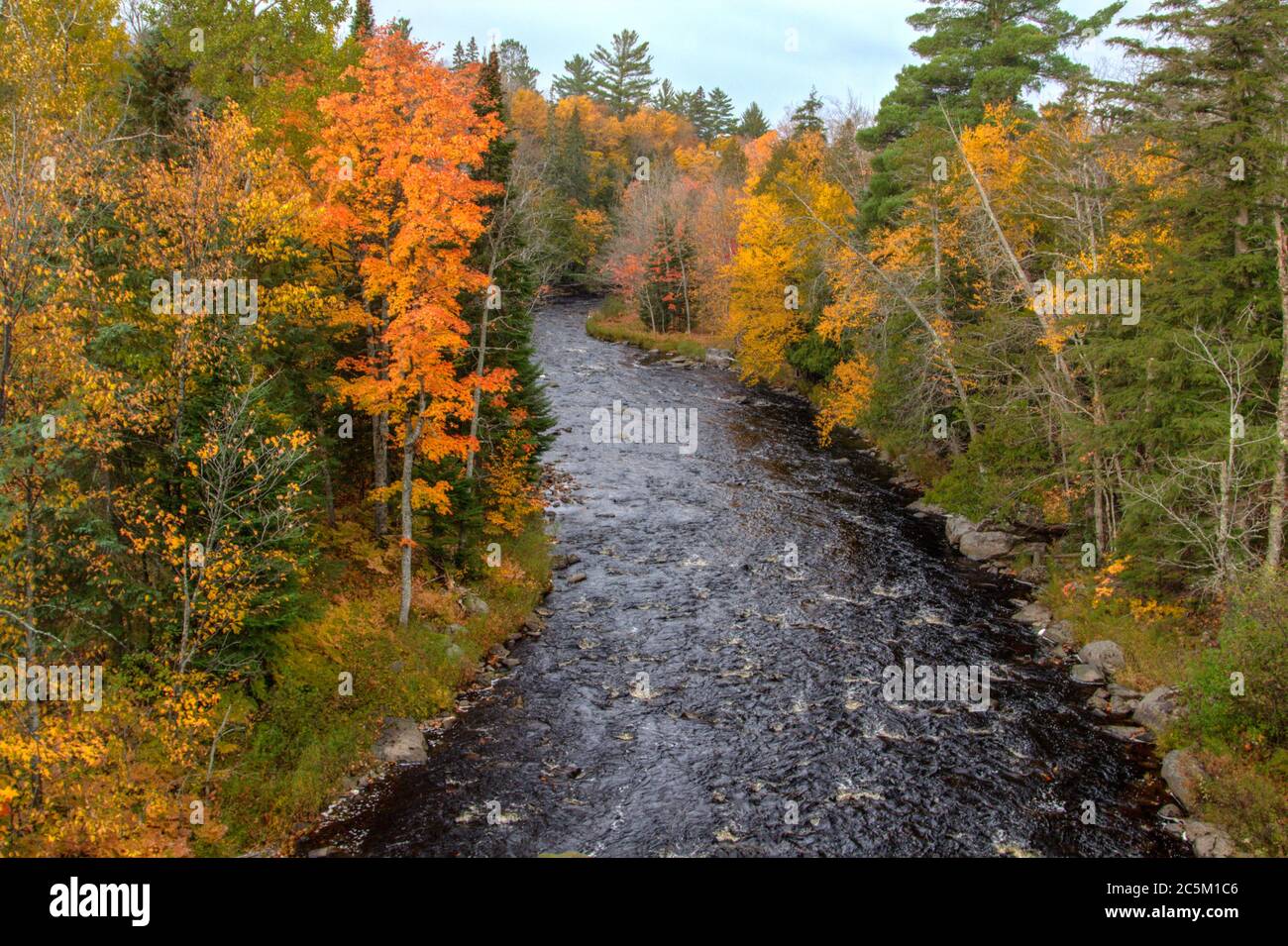 Wilderness River. Blick von oben auf den Sturgeon River, umgeben von den lebendigen Herbstfarben des Upper Peninsula Forest von Michigan Stockfoto