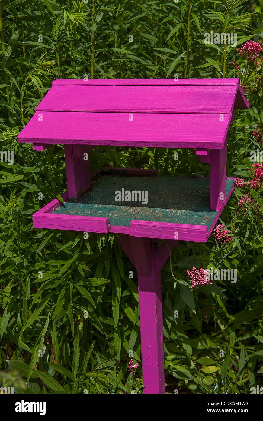 Pink Bird Tisch Im Garten Stockfoto