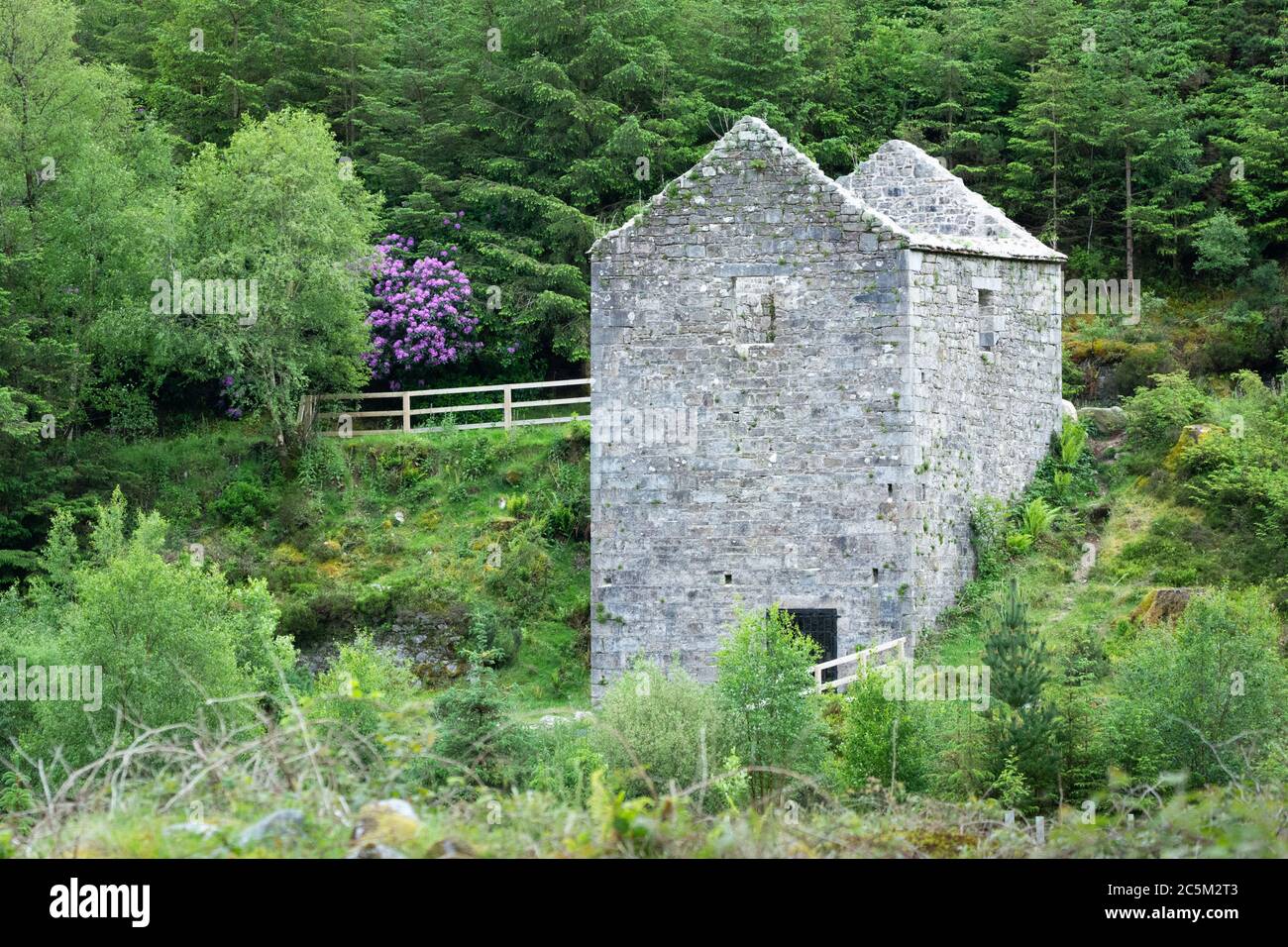 Ruine alter Bergbauarbeiten am Waldweg bei Barravore im Glenmalure-Tal in Wicklow, Irland Stockfoto
