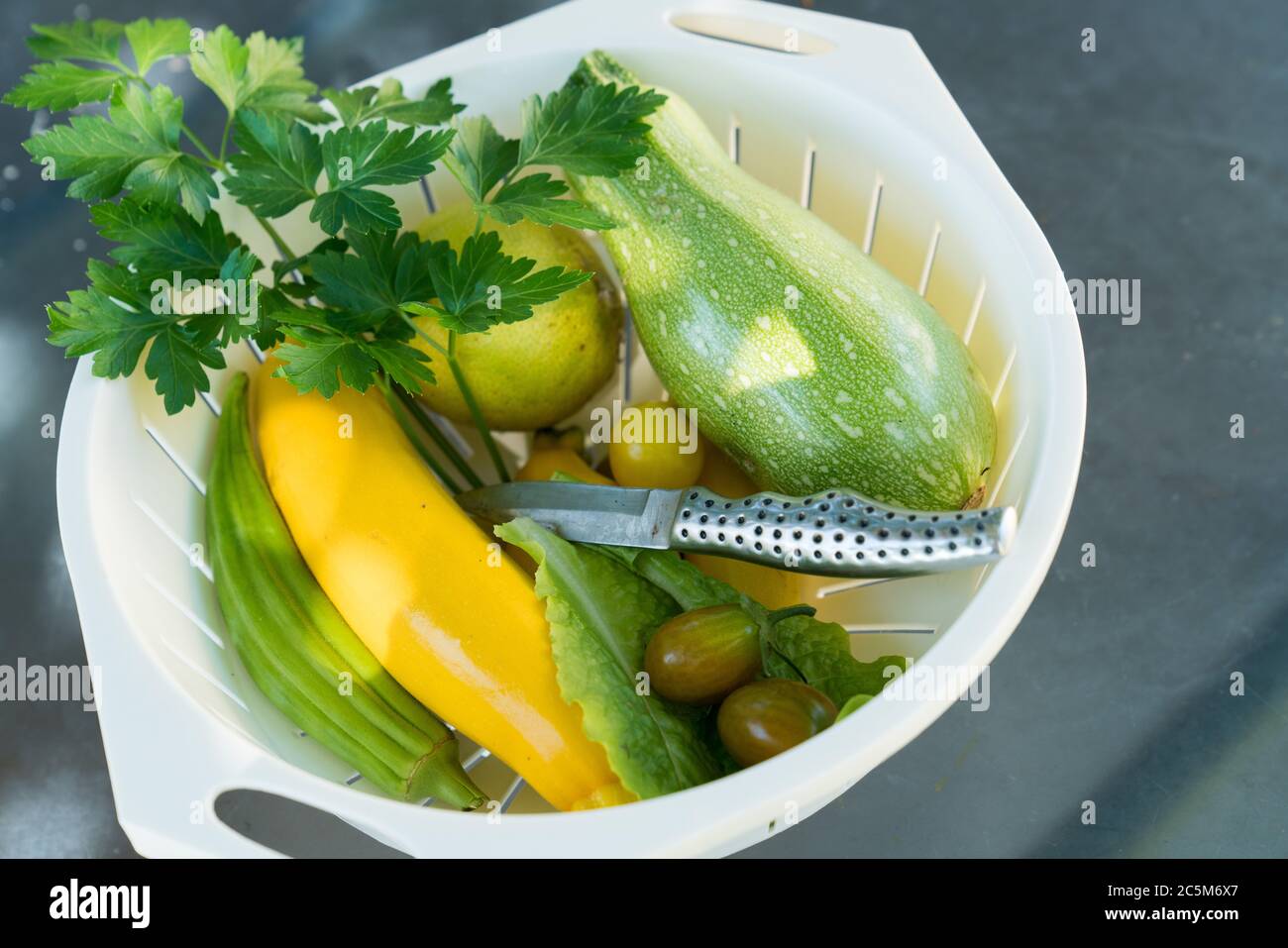 Obst und Gemüse aus eigenem Anbau, einschließlich Zucchini und Tomaten, frisch aus dem heimischen Garten gepflückt Stockfoto
