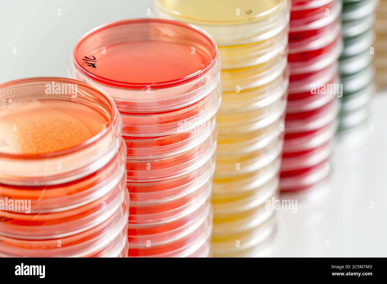 Rote und gelbe Petrischalen stapeln sich im Mikrobiologielabor auf dem Hintergrund des Bakteriologielabors. Stockfoto