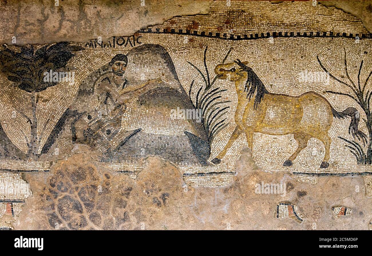 Ein gut erhaltenes Mosaik mit einem Mann und einem Pferd an der Stelle von Haleplibache in Sanliurfa (Urfa) im Südosten der Türkei. Stockfoto
