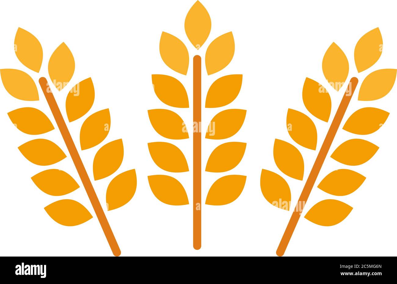 Weizen- und Roggenohren. Gerste Reiskörner und Elemente für Bier Logo oder Bio-Lebensmittel. Vektor-Illustration isoliert heraldischen Formen golden Stock Vektor
