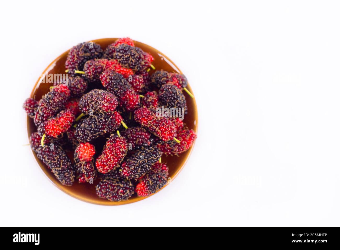 Morus Nigra Black Mulberry In Stockfotos und bilder Kaufen Alamy