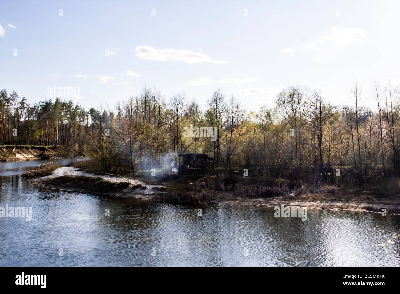 Ukrainische Landschaft im Wald. Kiefernwald mit einem Flussnamen Psel in der Stadt Sumy. Kiefern auf einem Flussufer in der Ukraine. Schöner Fluss namens Psel. Stockfoto