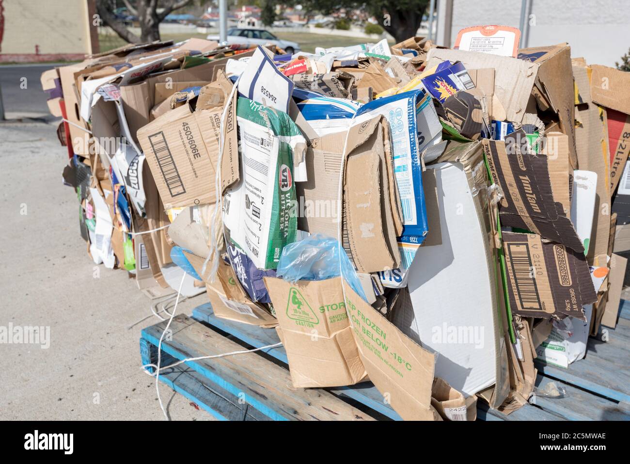 Gebundene und komprimierte Pappe wartet auf die Abholung zum Recycling in New South Wales, Australien Stockfoto