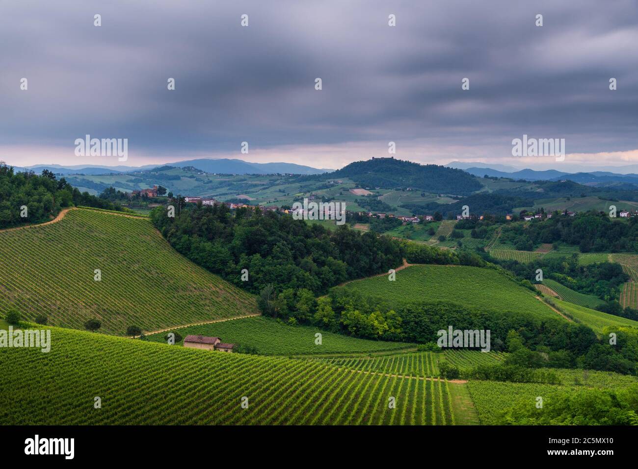 Oltrepo' Pavese Landschaft Hügel mit Weingärten und Landstraßen und Montalto Pavese Burg im Hintergrund in einem bewölkten Tag Stockfoto