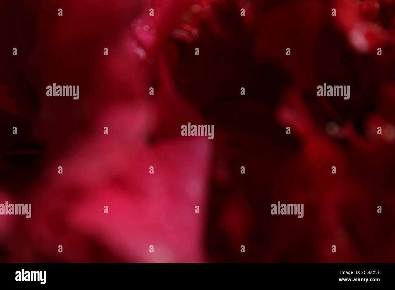 Abstrakte rote und schwarze Hintergrundtapete. Schöne abstrakte Mischfarben Display. Stockfoto