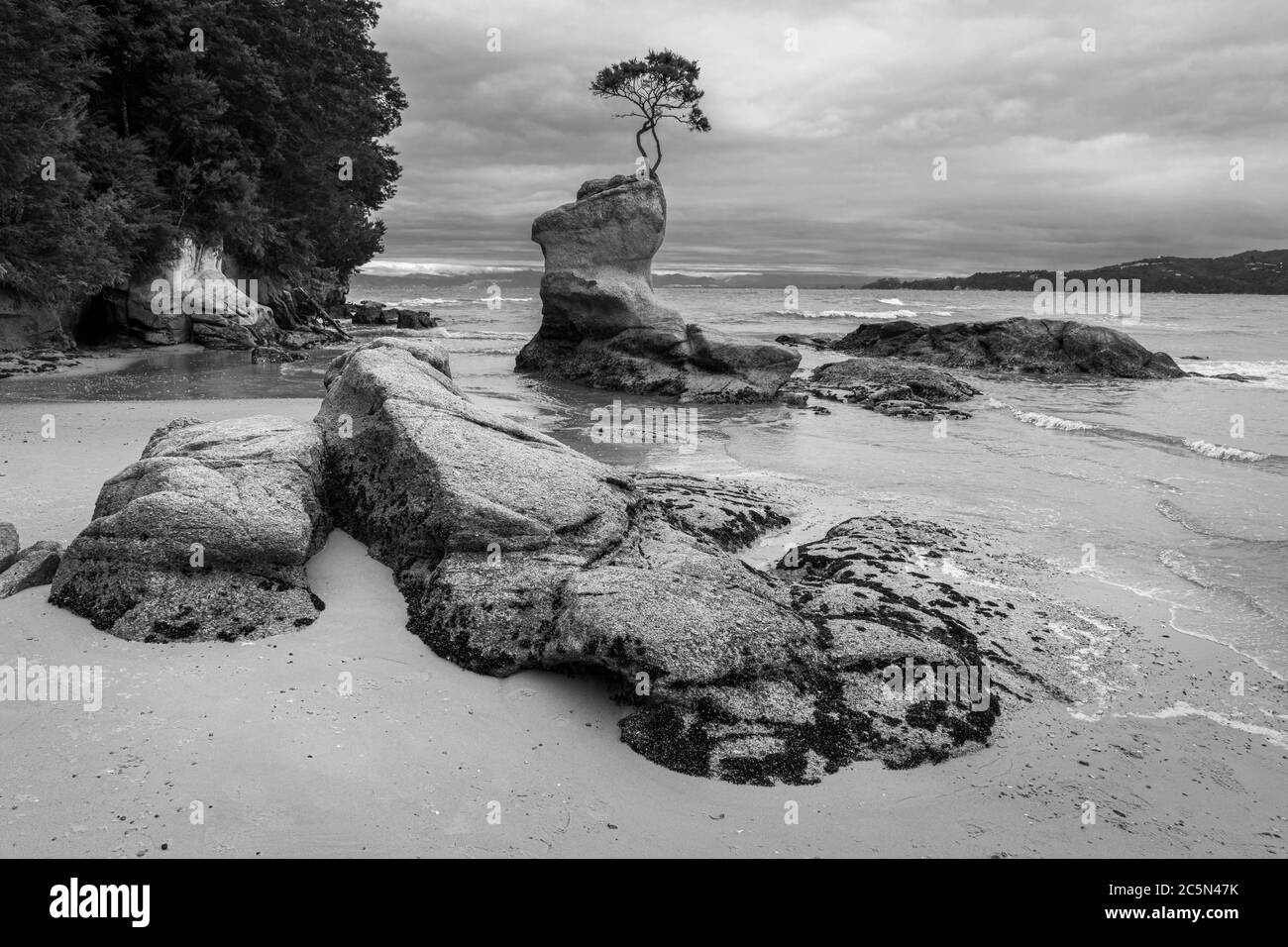 Tinline Bay, in der Nähe von Marahau, Abel Tasman National Park, Südinsel, Neuseeland Stockfoto