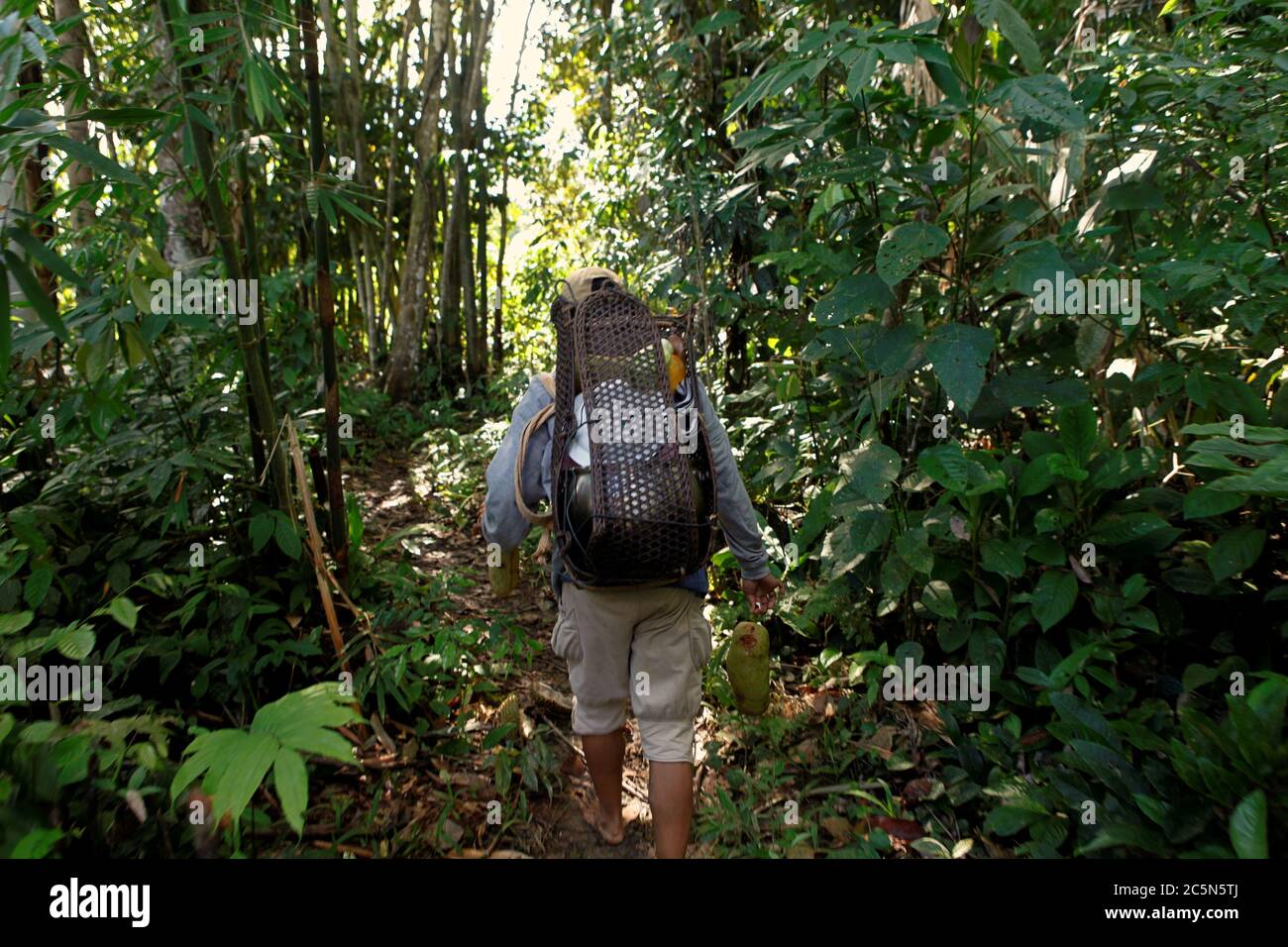 Eine Bäuerin der IBAN-Gemeinde, die durch einen Waldweg geht, nachdem sie auf einem landwirtschaftlichen Bauernhof in der Nähe des Dorfes Sungai Utik in Kapuas Hulu, West Kalimantan, Indonesien, gearbeitet hat. Stockfoto