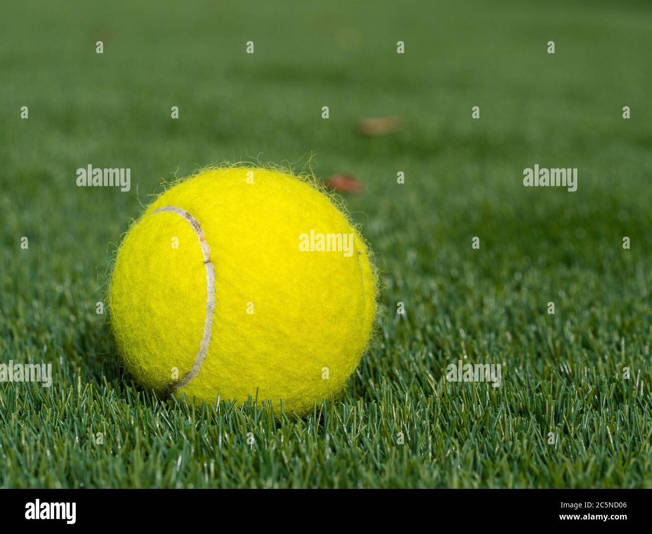 Ein Tennisball, der nicht benutzt und isoliert ist Stockfoto