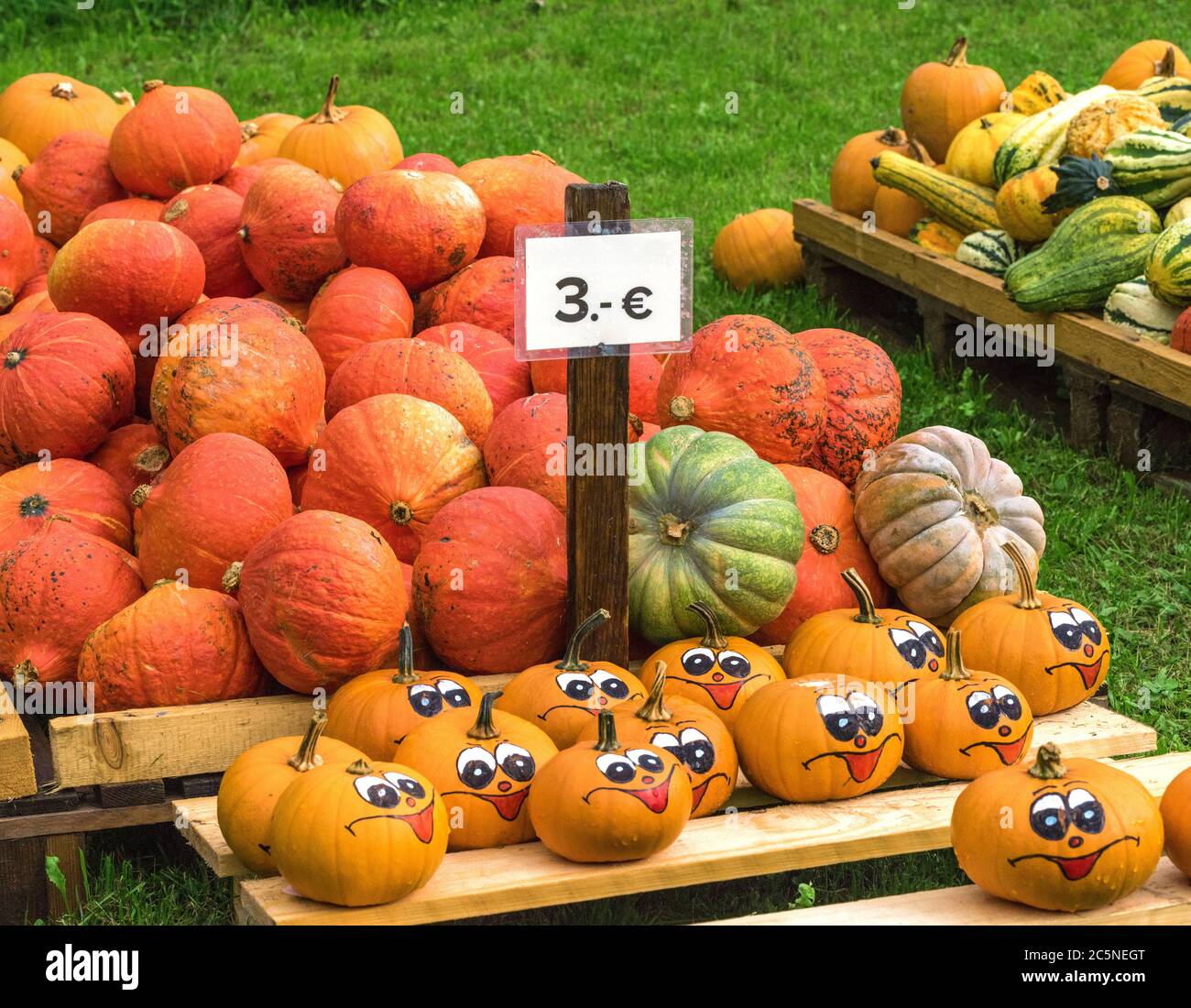 Niedliche Kürbisse zum Verkauf in der österreichischen Landschaft Stockfoto