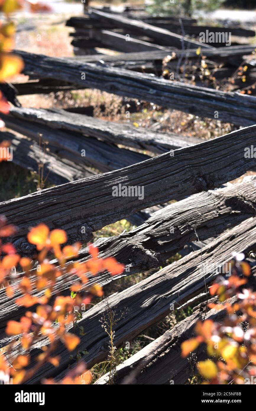 Holzzaunung im Herbst mit ausgewähltem Fokus Stockfoto