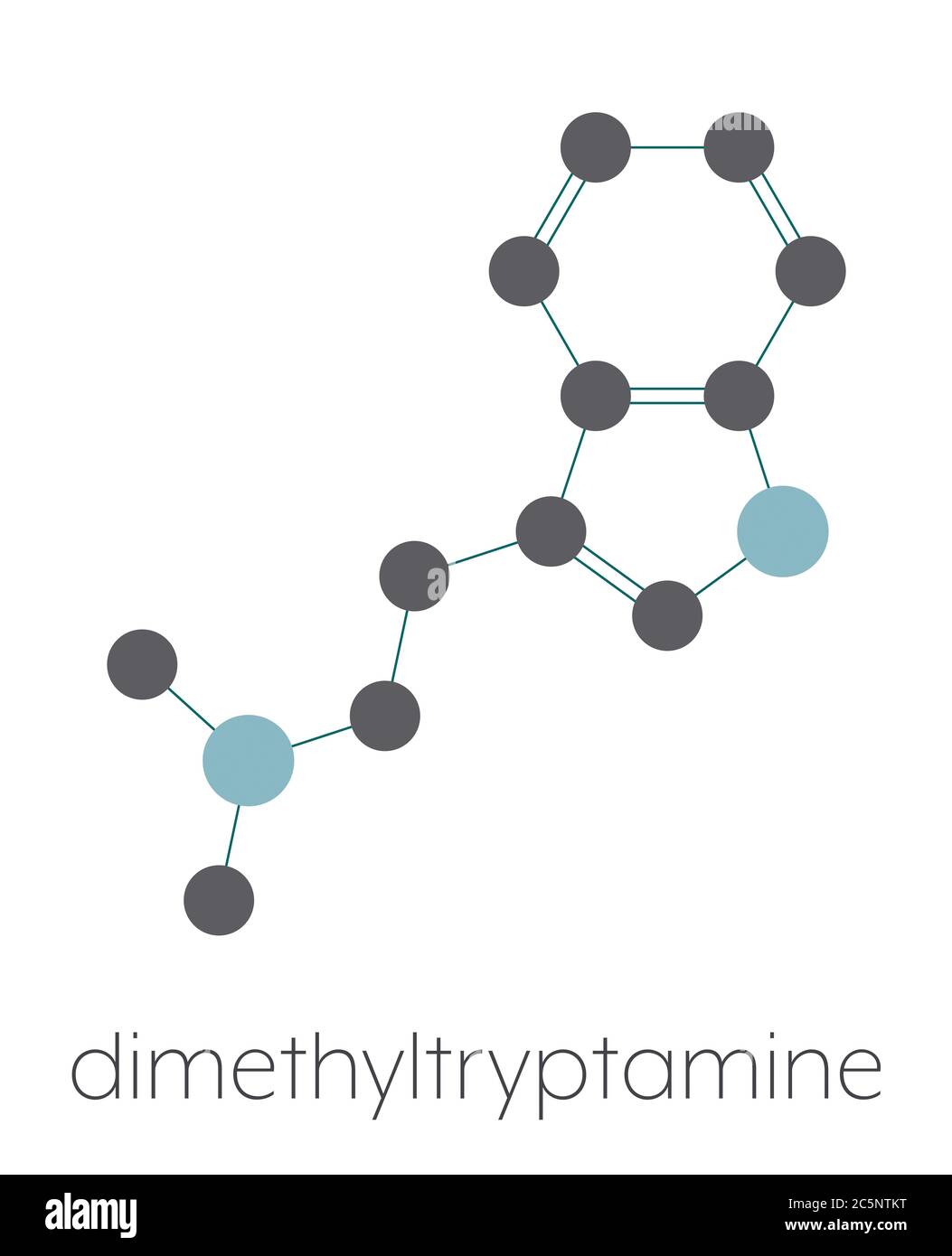 Dimethyltryptamin (DMT) psychedelisches Arzneimittelmolekül. Im Getränk Ayahuasca anwesend. Stilisierte Skelettformel (chemische Struktur): Atome werden als farbcodierte Kreise dargestellt: Wasserstoff (versteckt), Kohlenstoff (grau), Stickstoff (blau). Stockfoto