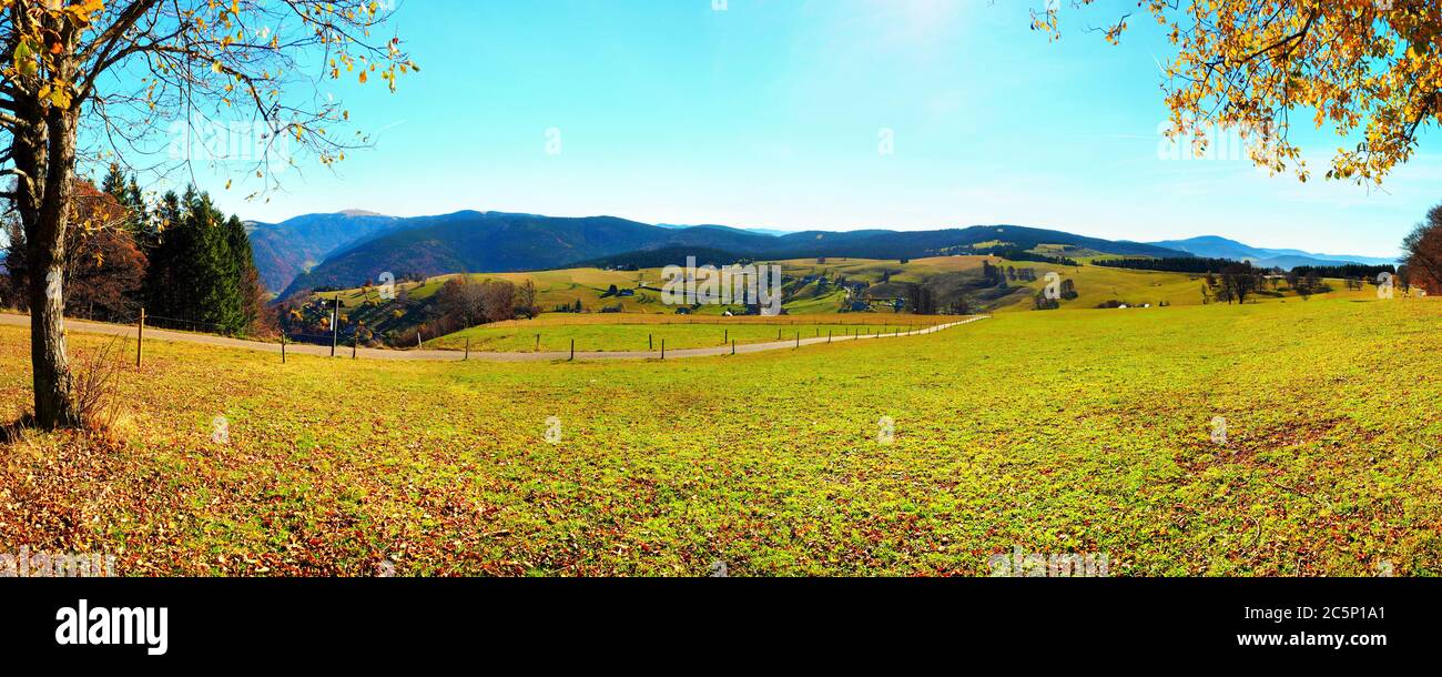 Schwarzwald - Panorama zwischen Bäumen - Schwarzwald Panorama Stockfoto