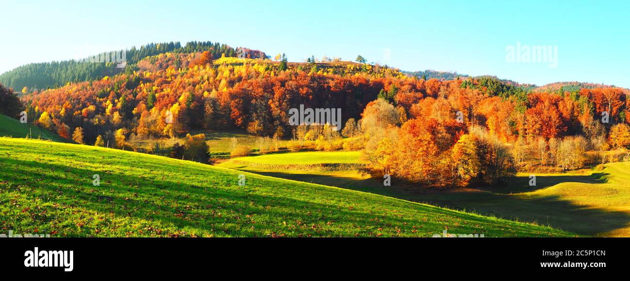 Schwarzwald im Herbst - Schwarzwald Panorama Stockfoto