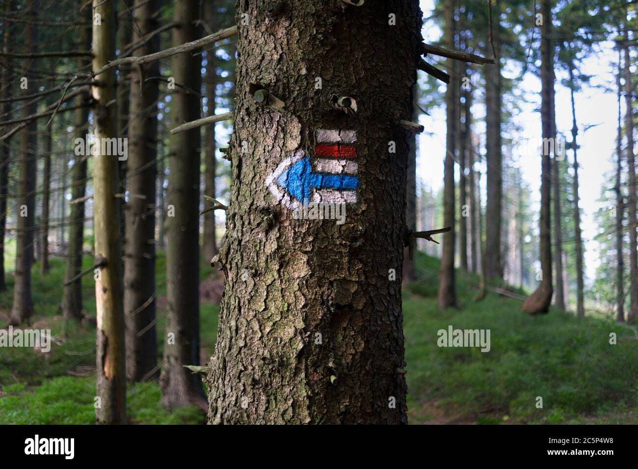 Wanderzeichen in Tschechien / Tschechien. Gemalte Markierung für Touristen, Wanderer und Trekker. Es hilft, Wanderer während der Wanderung zu navigieren Stockfoto