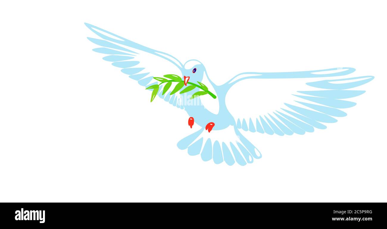 Taube des Friedens Reinheit Design. Taube mit grünem Olivenzweig auf weißem Hintergrund. Logo, Symbol der Liebe und Boten. Flache Vektor schöne Grafik isoliert Element. Fliegende Cartoon Vogel Zeichnung. Stock Vektor
