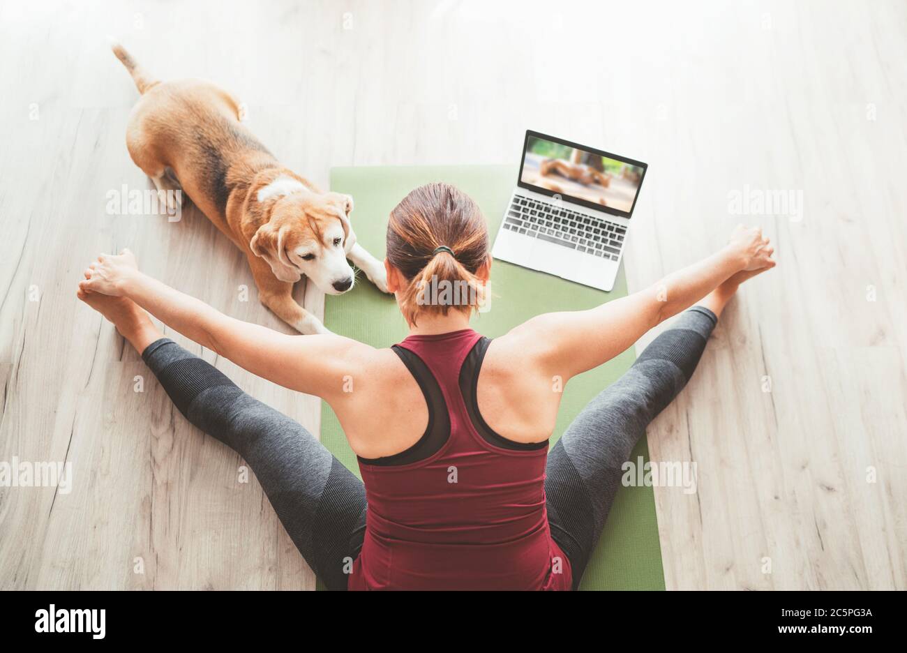 Draufsicht auf fit sportlich gesunde Frau sitzen auf Matte in Upavistha Konasana Pose, tun Atemübungen, beobachten Online-Yoga-Kurs auf Laptop-Computer. Stockfoto