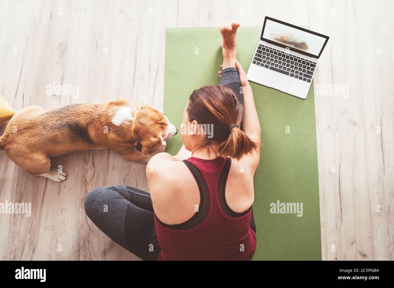 Draufsicht auf FIT Sportlich gesunde Frau, die ihren Körper auf einer Yogamatte streckt, Online-Yogakurs auf einem Laptop und ihren Beagle-Hund, der Compan hält, beobachtet Stockfoto