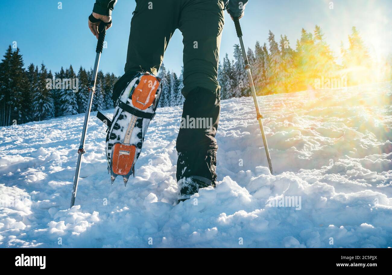 Nahaufnahme von Bergschuhen mit Steigeisen und Schnee Gamaschen mit Hintergrundbeleuchtung Sonnenstrahlen und schneebedeckten Fichten auf dem Hintergrund. Hochgebirgssteiger mit einem Stockfoto