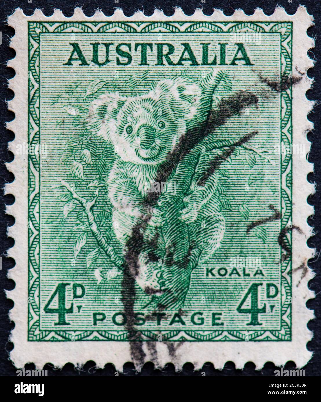 Australien 4d Koala Bear Stempel - 1938 Stockfoto