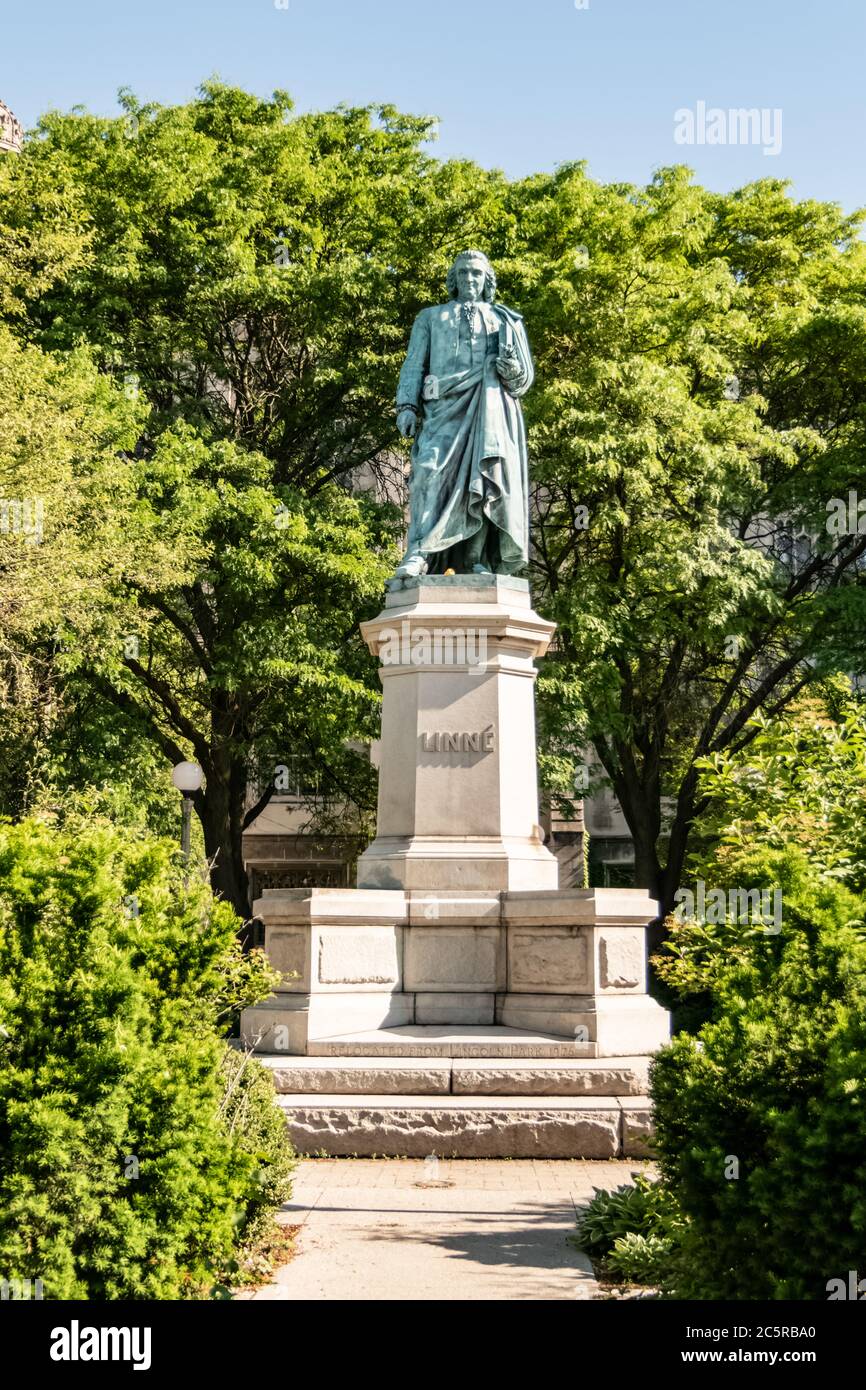 Carl von Linné Denkmal auf der Midway Plaisance am Campus der Universität Chicago - Vater der modernen Taxonomie. Stockfoto