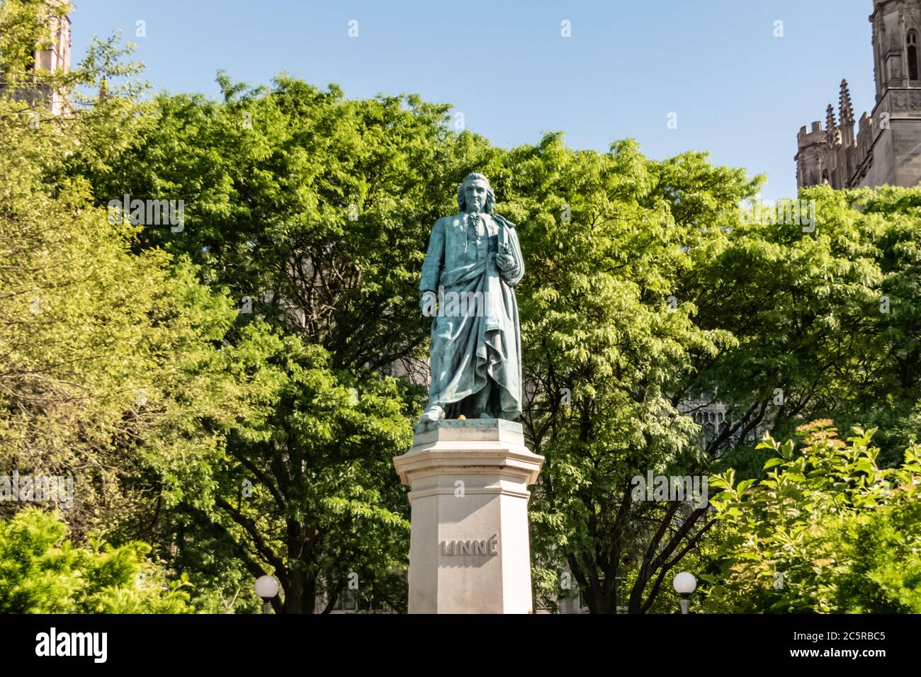 Carl von Linné Denkmal auf der Midway Plaisance am Campus der Universität Chicago - Vater der modernen Taxonomie. Stockfoto