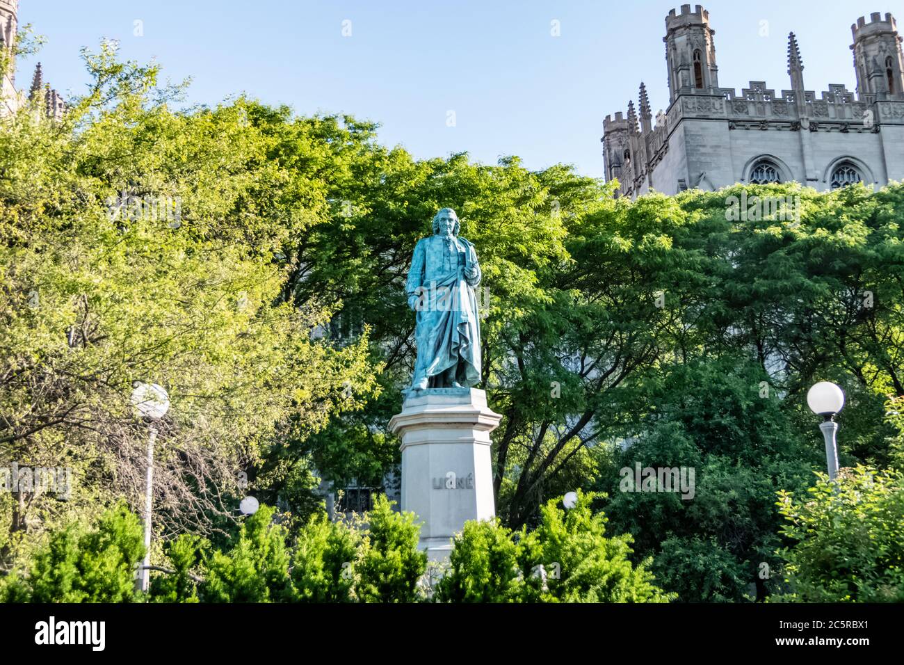 Carl von Linné Denkmal auf der Midway Plaisance am Campus der Universität Chicago - Vater der modernen Taxonomie. Stockfoto