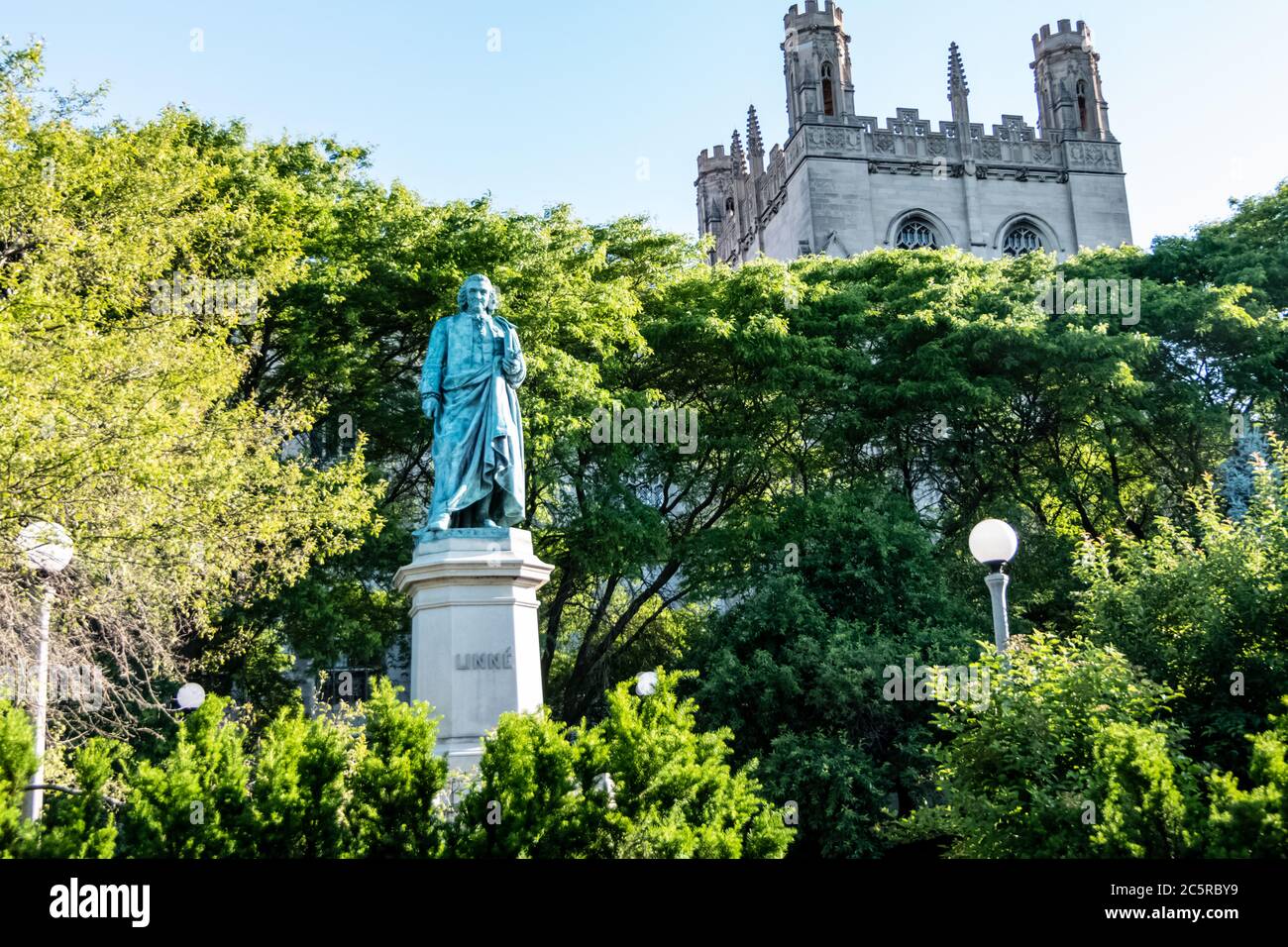 Carl von Linné Denkmal auf der Midway Plaisance am Campus der Universität Chicago - Vater der modernen Taxonomie. Stockfoto