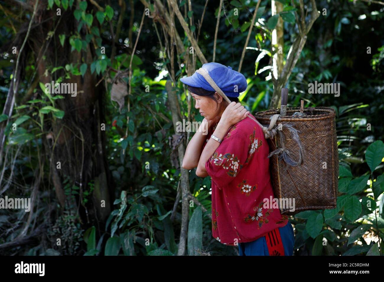 Eine Bäuerin, die als Straßeninfrastruktur am Straßenrand läuft, wird in einem abgelegenen Gebiet innerhalb der Kapuas Hulu Regentschaft, Provinz West Kalimantan, Indonesien, entwickelt. Archivfoto (2012). Im abgelegenen Kalimantan verlassen sich lokale Gemeinden seit Jahrzehnten auf Flüsse und Wanderwegen für Mobilität und Transport. Der neue Straßenbau wird die Städte Melak (Provinz Ost-Kalimantan) und Putussibau (Provinz West-Kalimantan) auf seiner längsten Spannweite verbinden und soll mindestens die Hälfte der traditionellen Fahrzeit zwischen allen verbundenen Städten und Dörfern reduzieren. Stockfoto