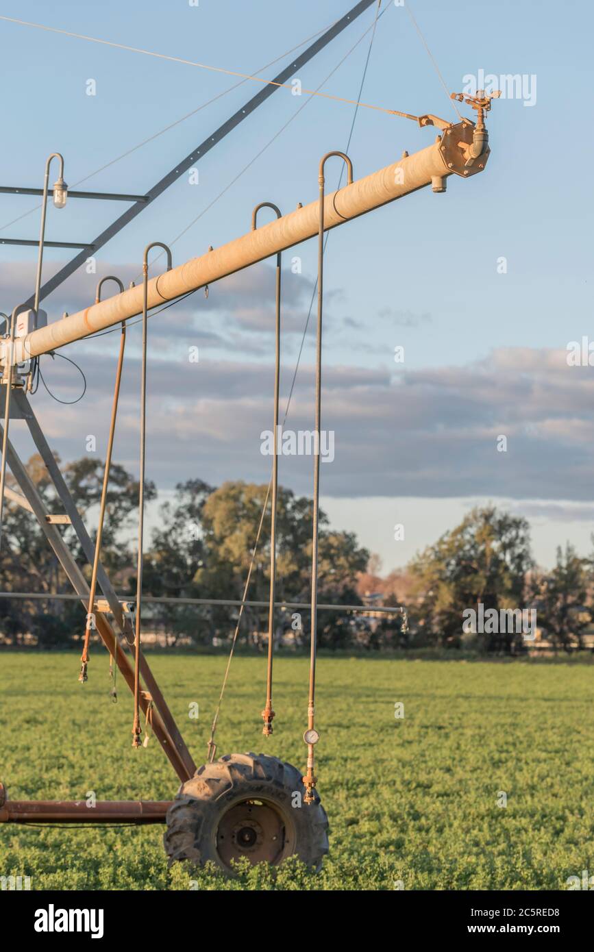 Ein Center Pivot oder Lateral Move, selbstfahrendes Bewässerungssystem oder Sprinkler, bereit für den Einsatz auf einer landwirtschaftlichen Nutzpflanze in der Nähe von Mudgee, Australien Stockfoto