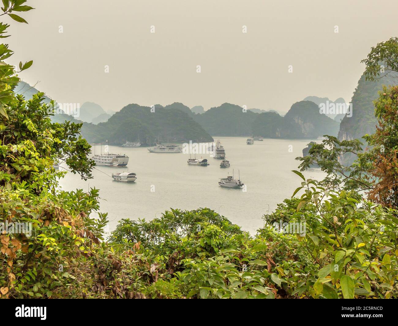 Eine schöne Aussicht auf Trödelboote in einer Lagune im UNESCO-Weltkulturerbe der Ha Long Bay, durch eine Lücke in den Bäumen Stockfoto