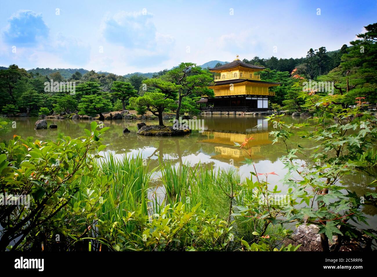 Die Schariden bei Rokuon-ji, allgemein bekannt als der Goldene Pavillon (Kinkaku-ji). Ein Zen-buddhistischer Tempel in Kyoto, Japan. Stockfoto