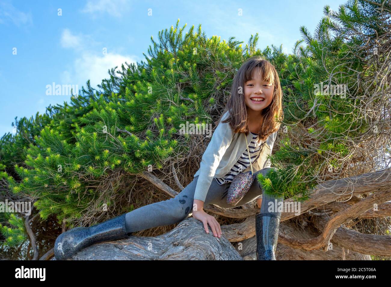 Acht Jahre altes Mädchen, das in San Diego, Kalifornien, einen Baum klettert Stockfoto